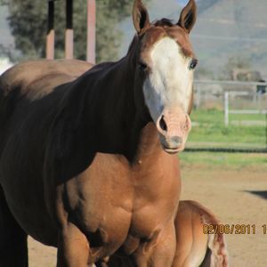 Meet your Posher, Tiffany